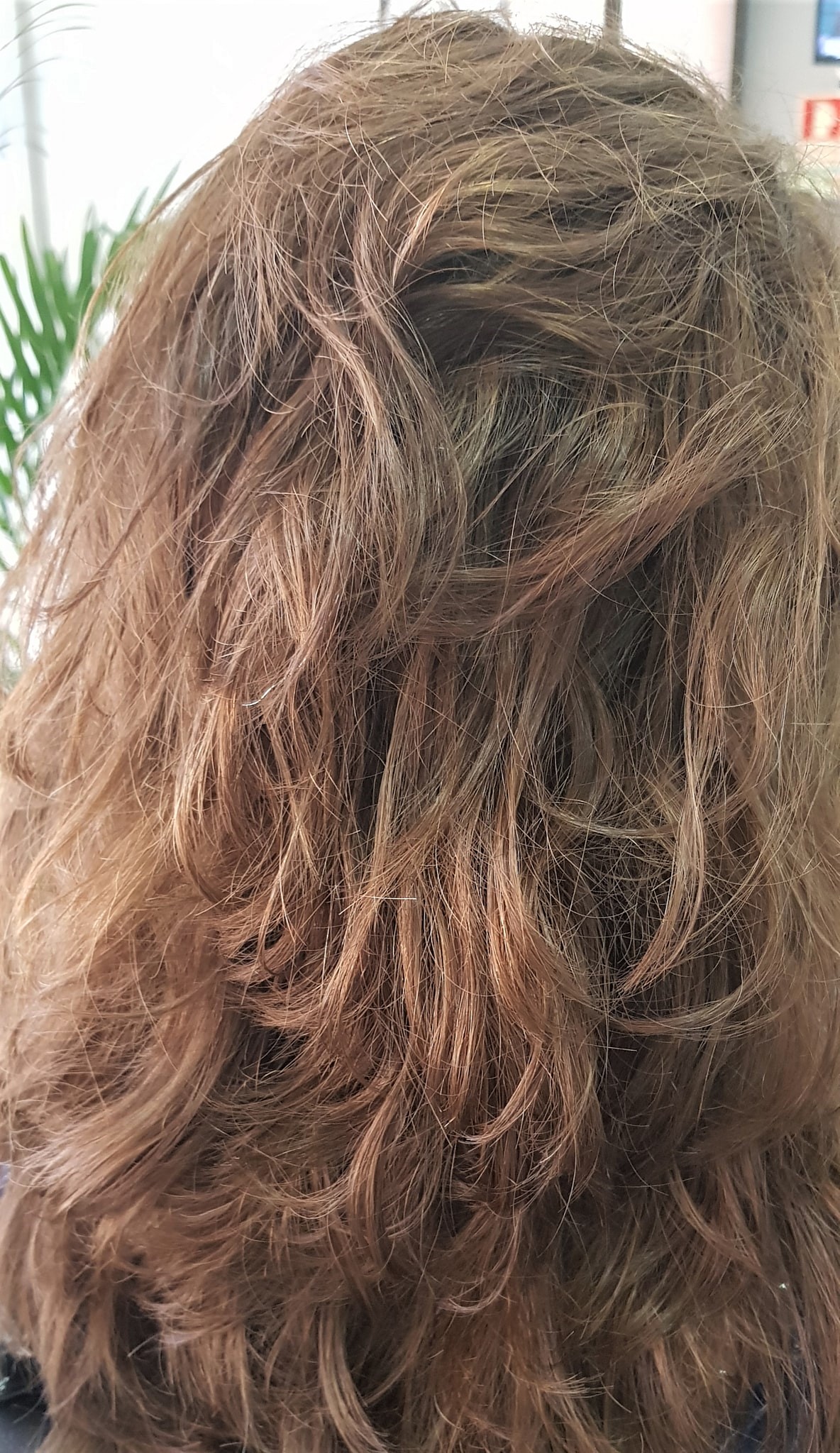 cabelo4.jpg