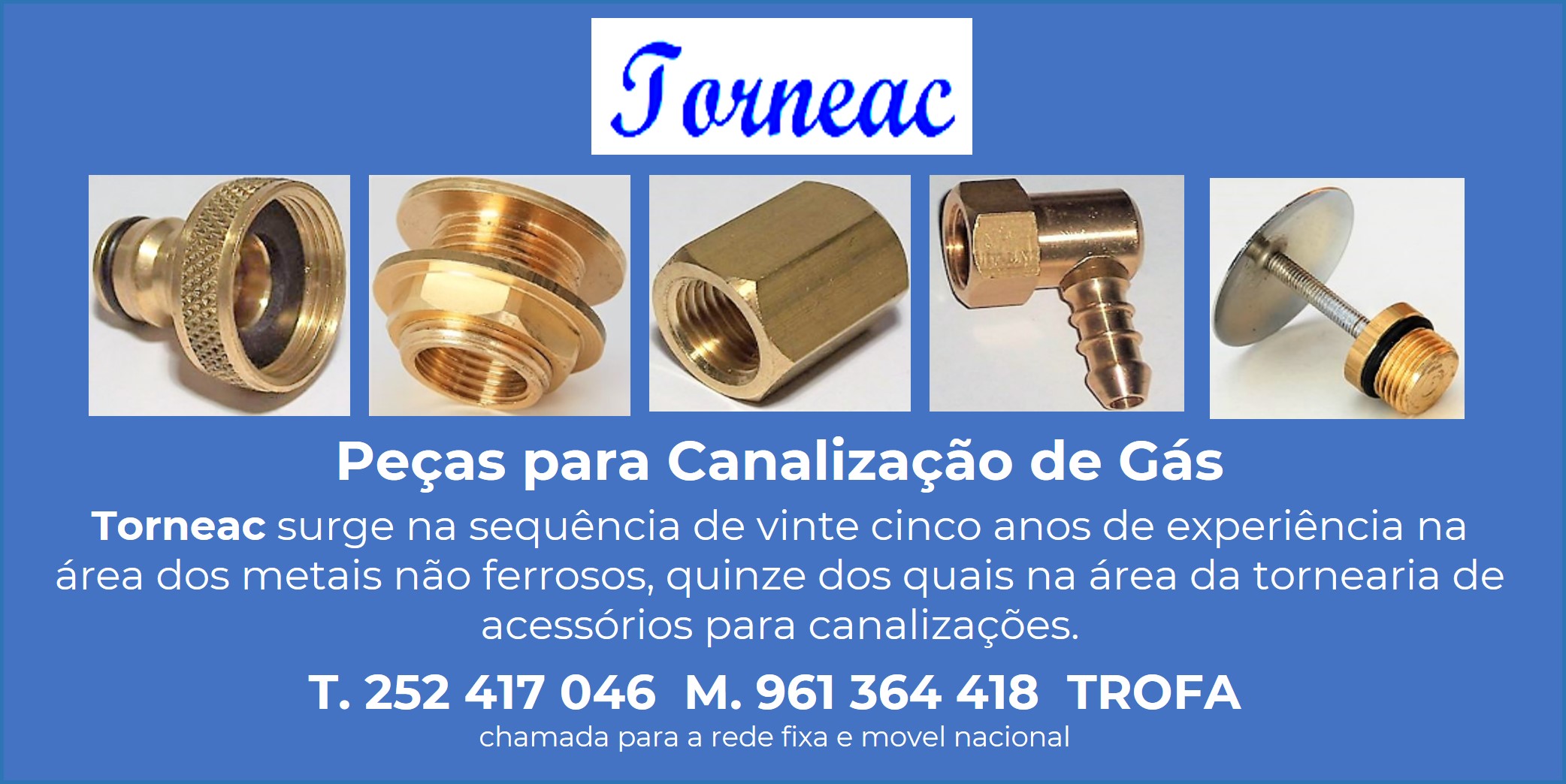 bannertorneaAPH
