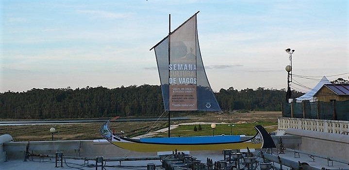 barcos