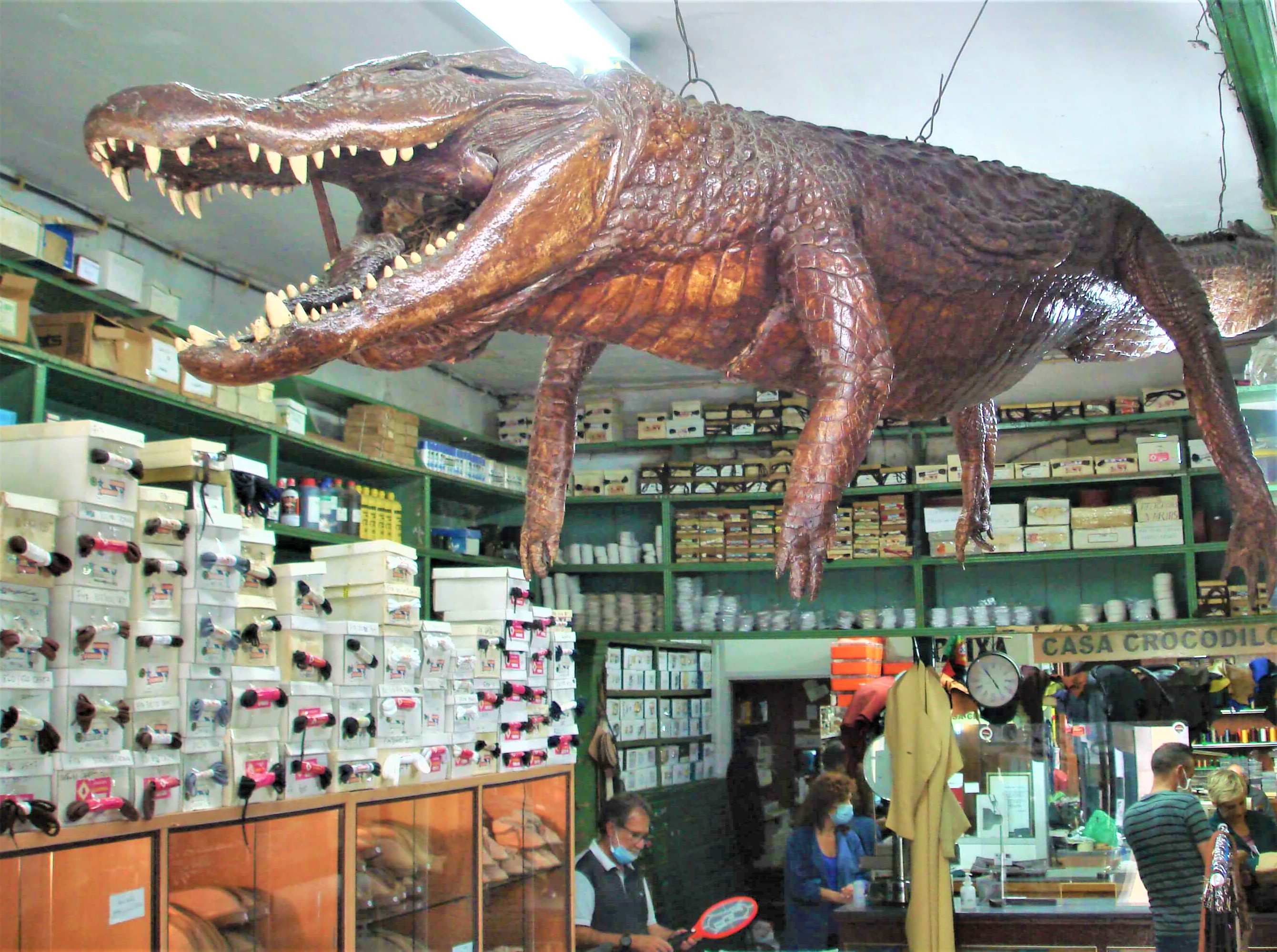 Crocpendurado2.jpg