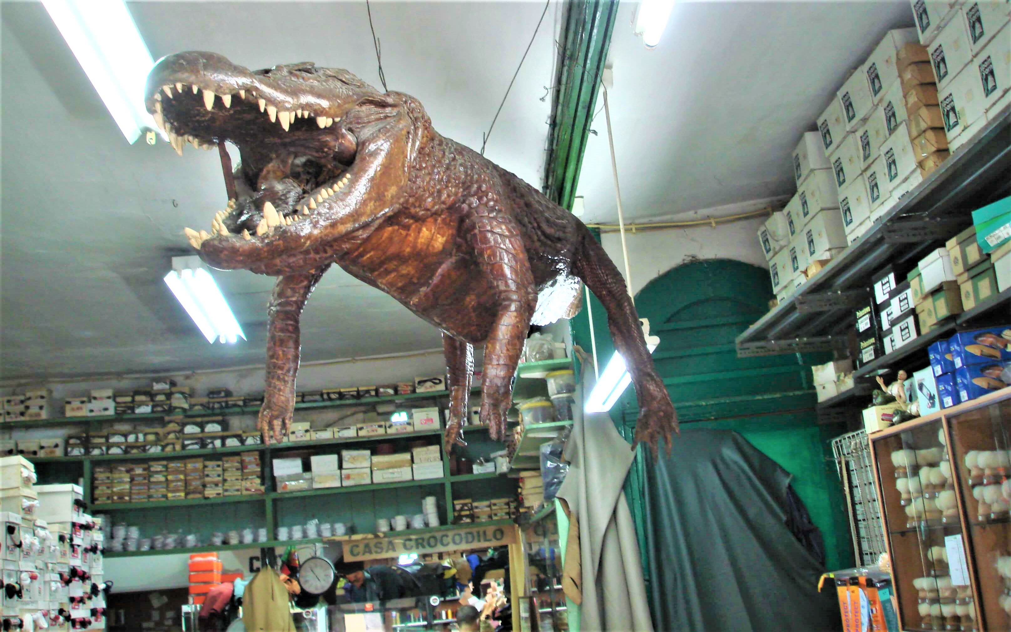 Crocpendurado3.jpg