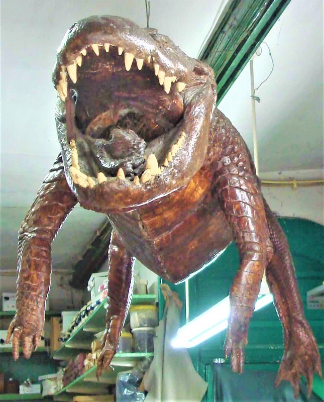 Crocpendurado4.jpg
