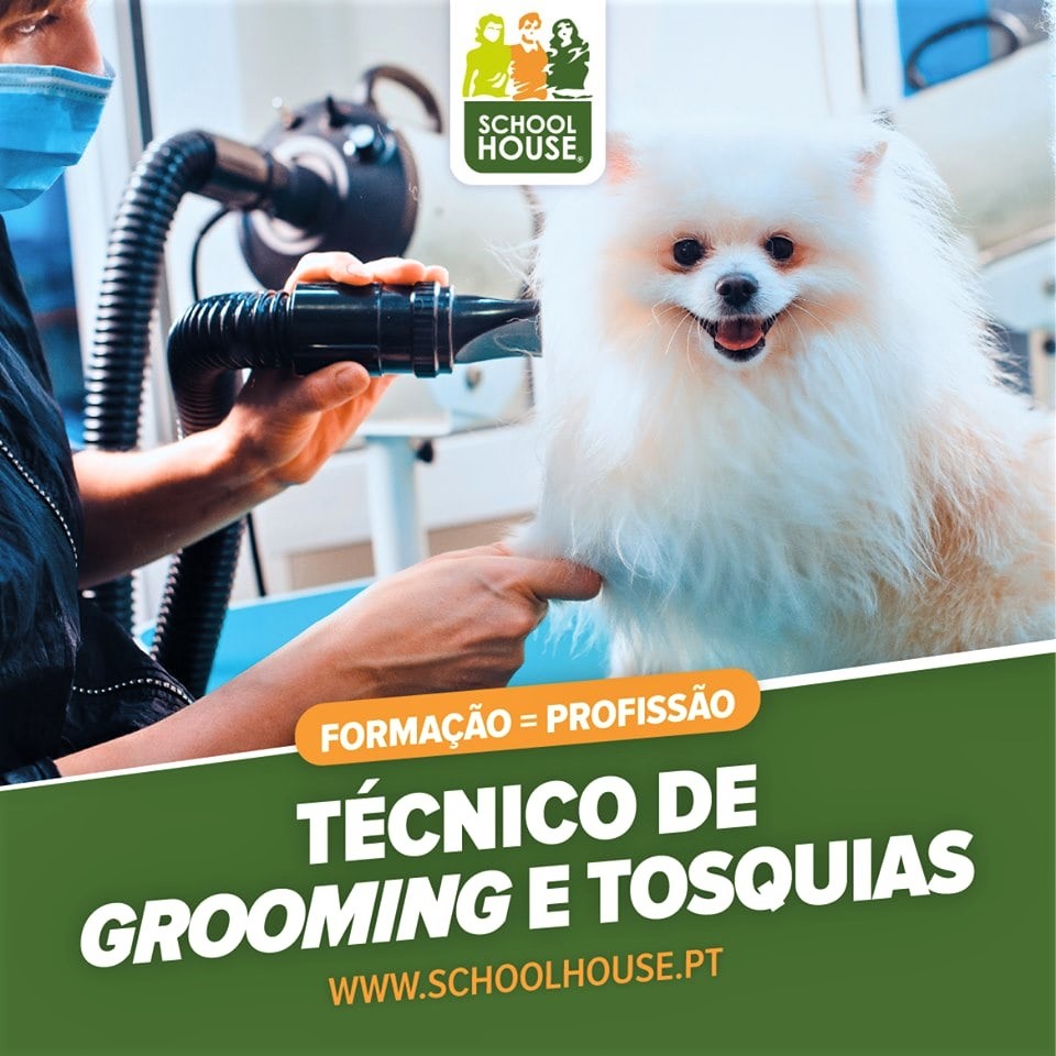 formacao1