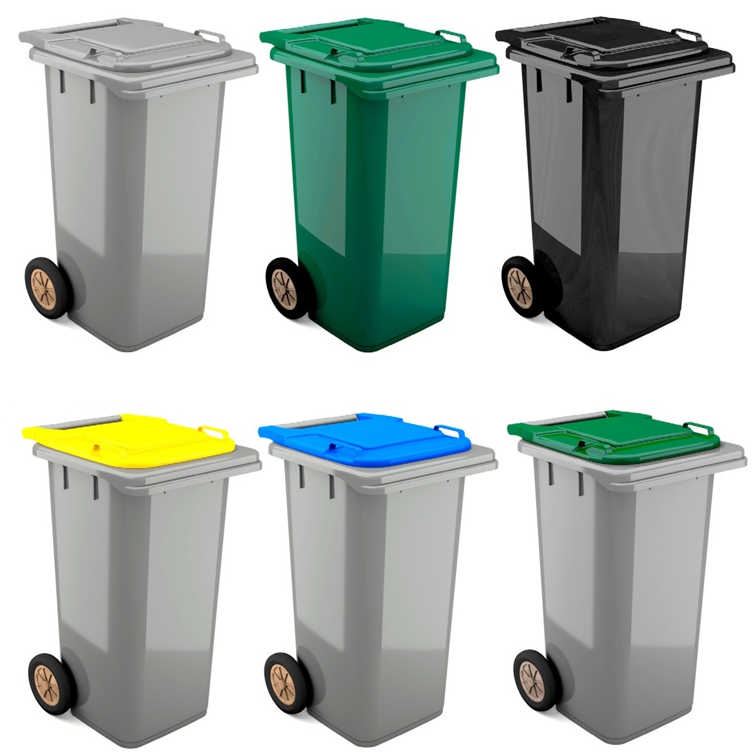 BioLogic-colors.jpg