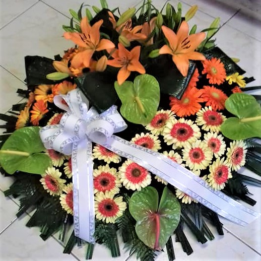 coroa2