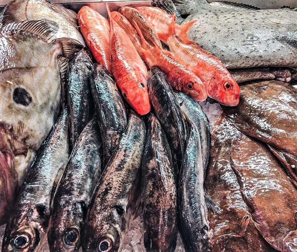 peixe