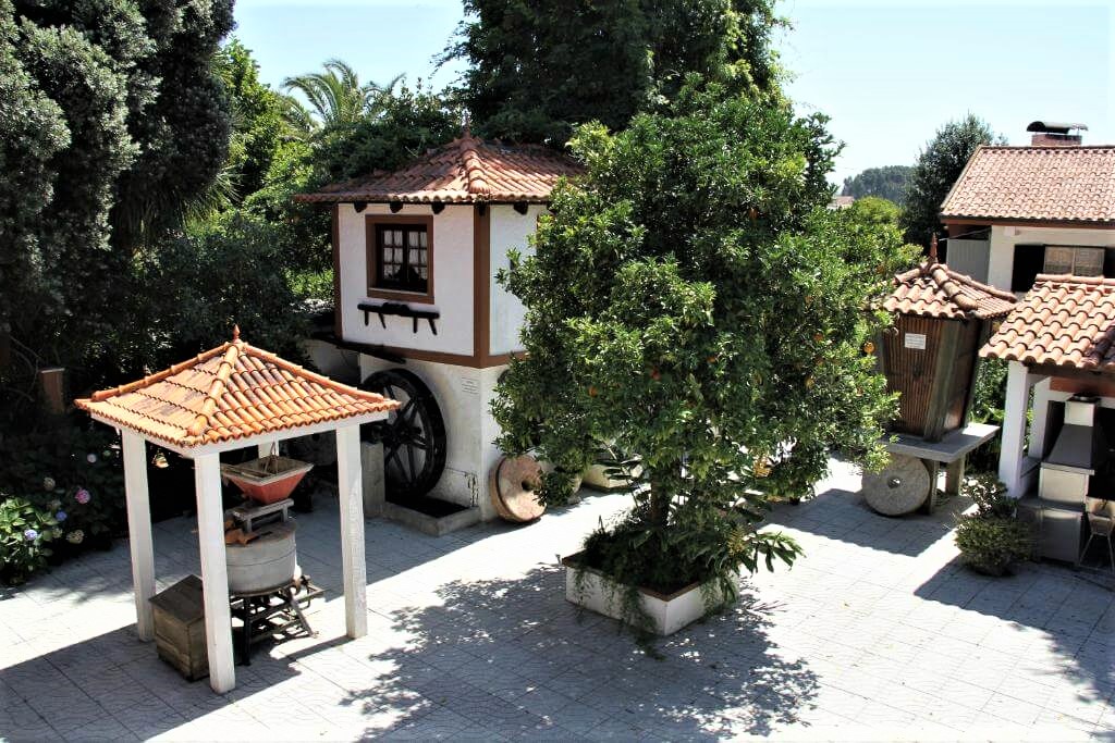 jardim6.jpg