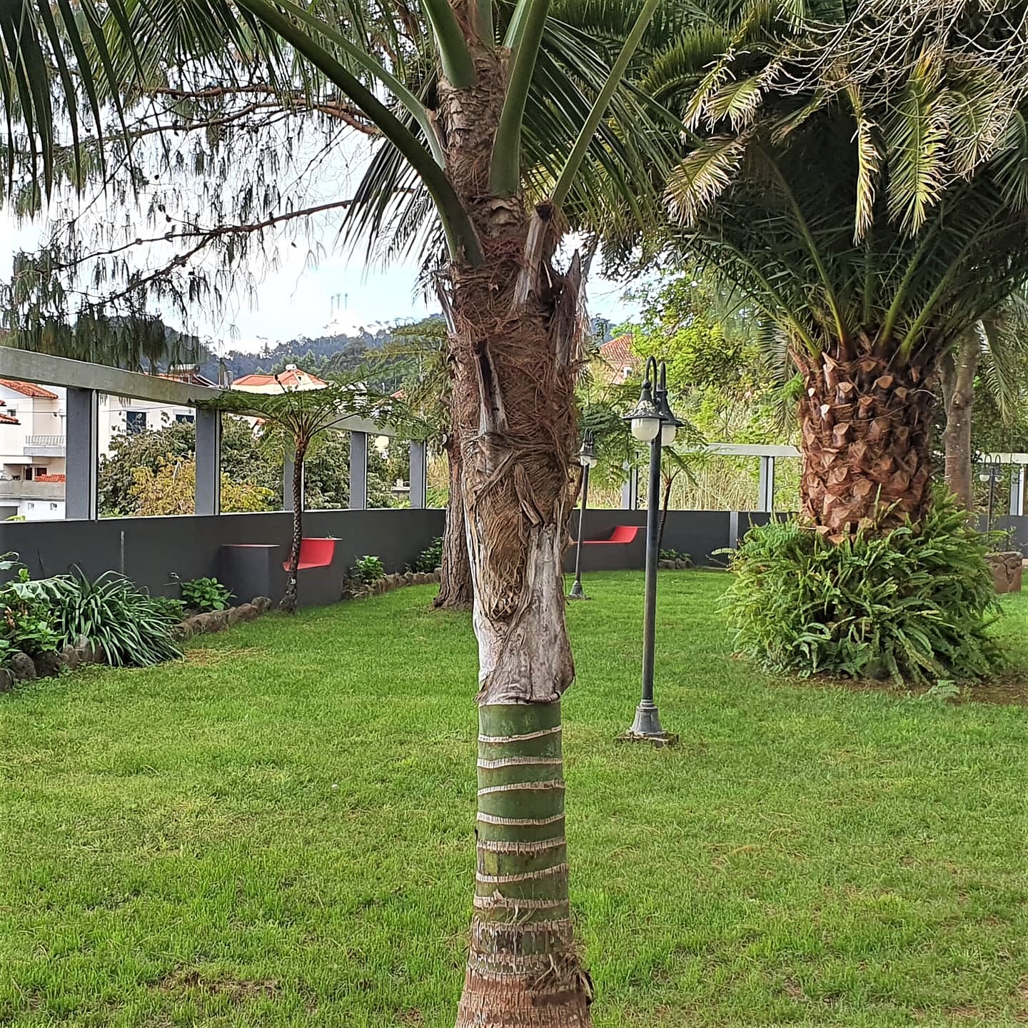 jardim2