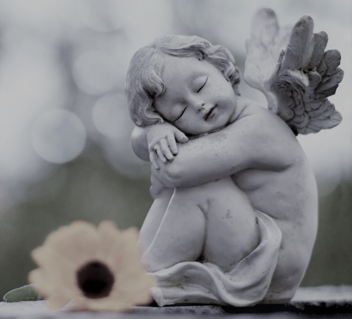 anjo