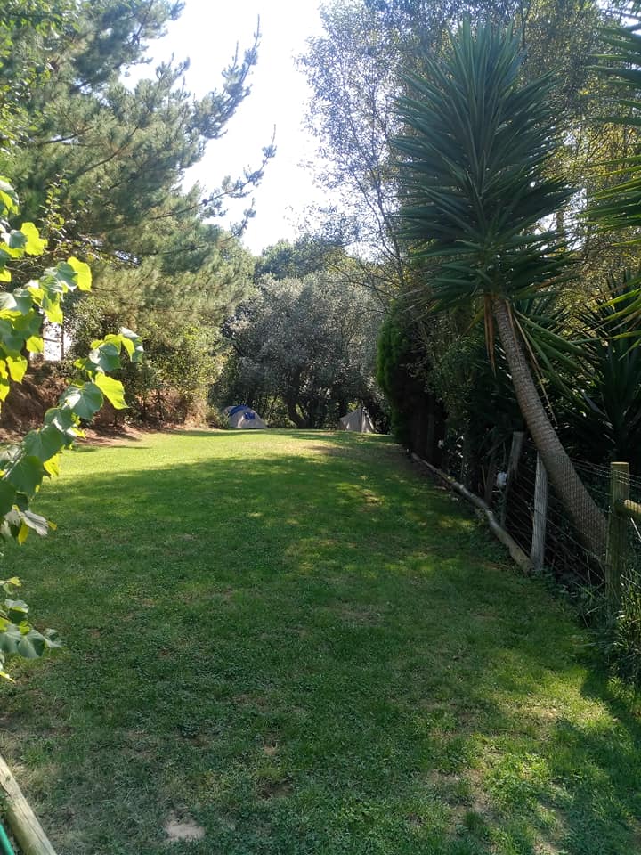campo3