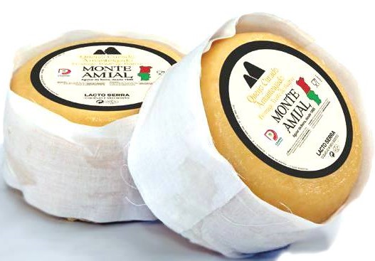 queijomonte