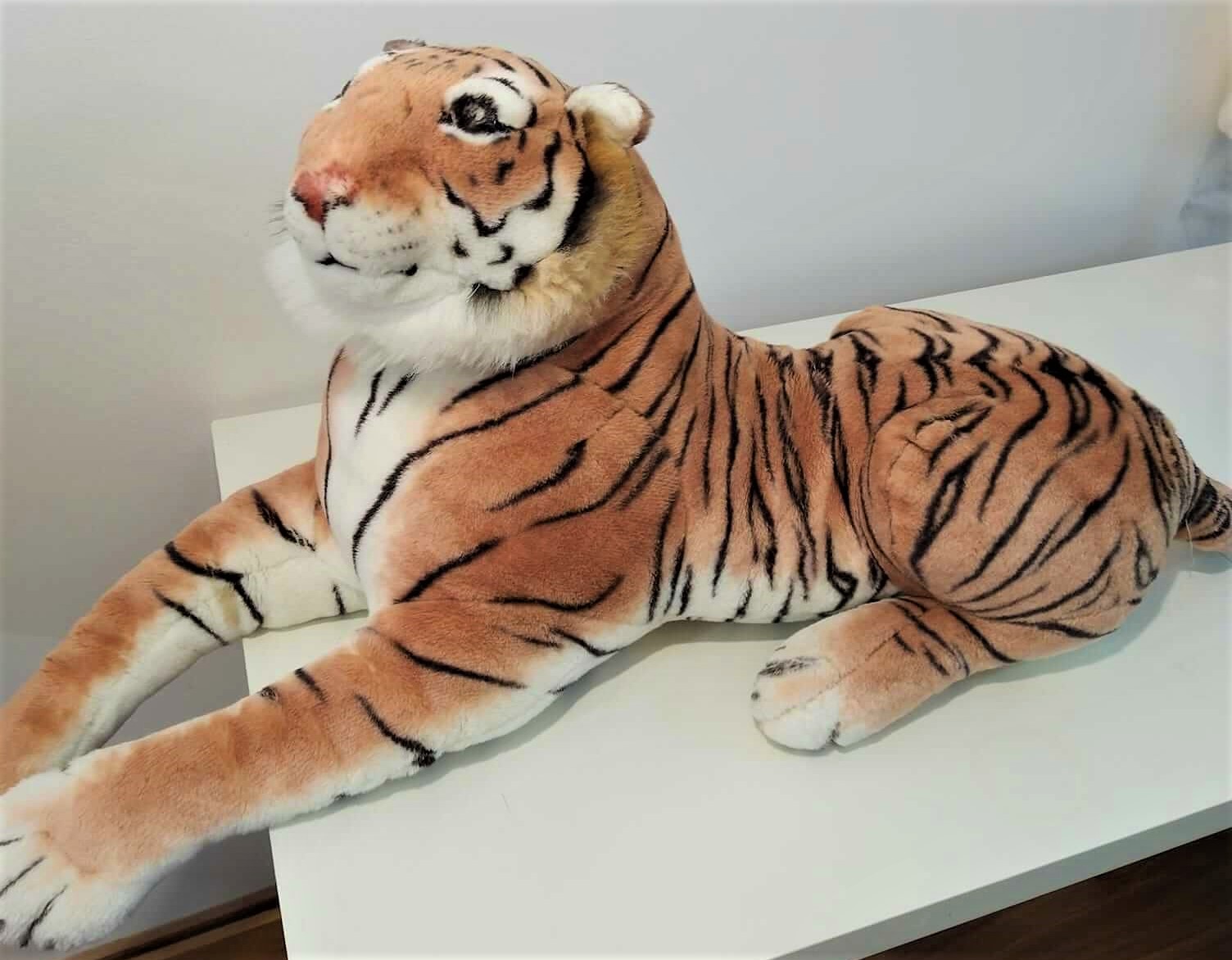 tigre.jpg