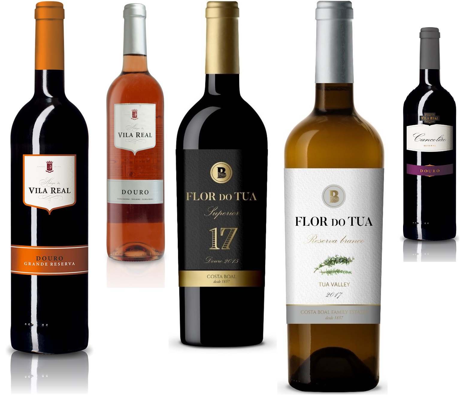 vinhos