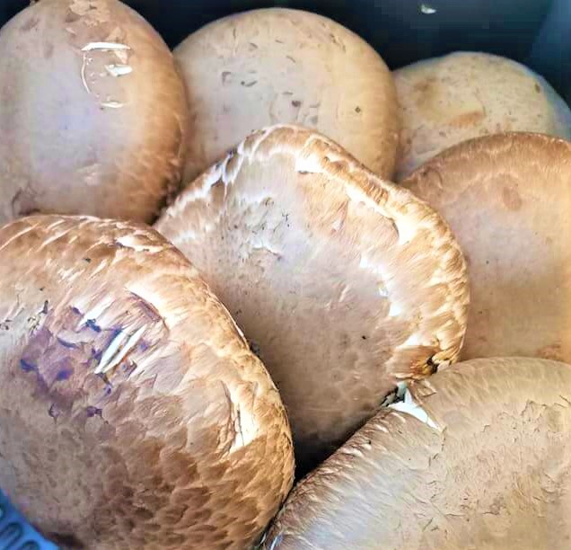 cogumelos