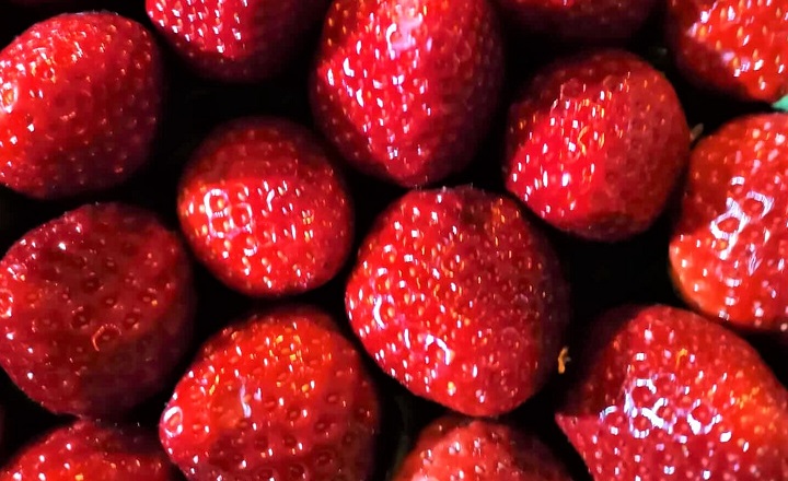 morangos2
