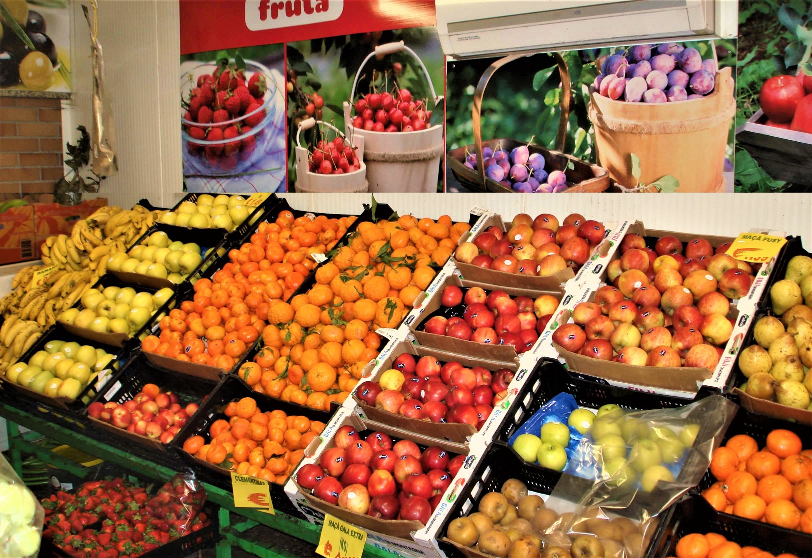 frutaria7