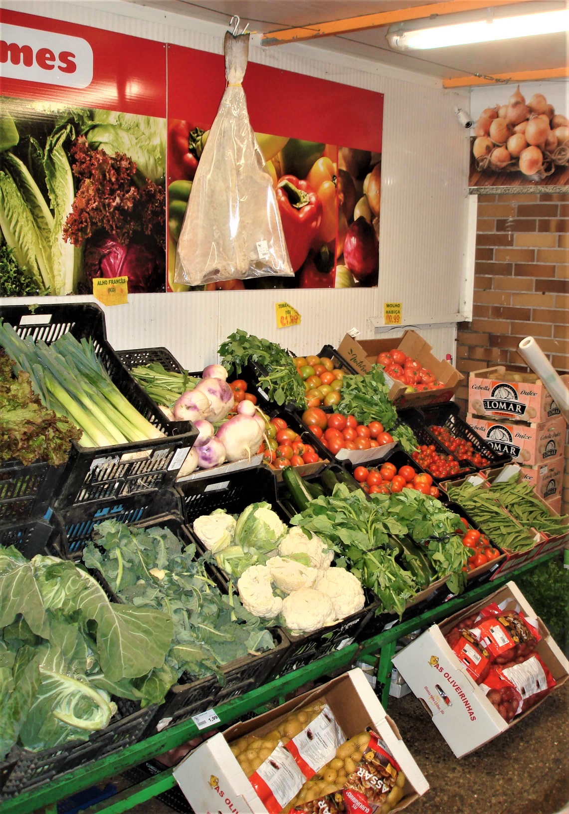 legumes4.jpg