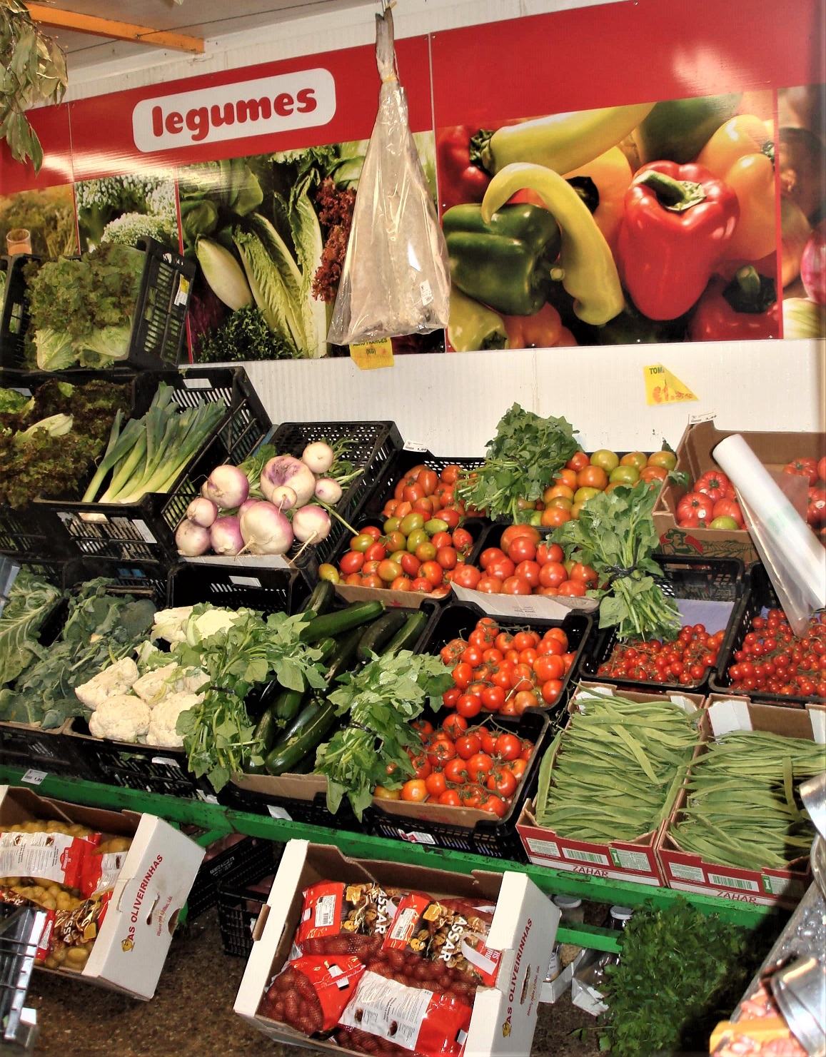 legumes5.jpg