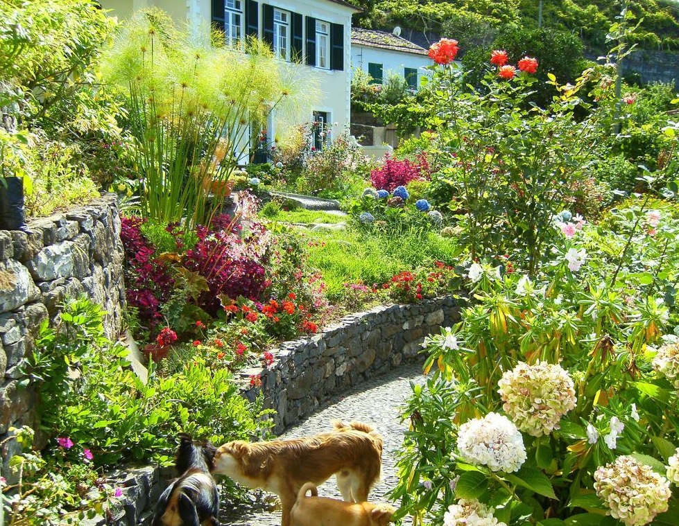 jardins10.jpg