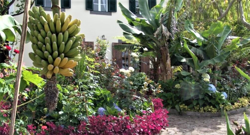 jardins17.jpg
