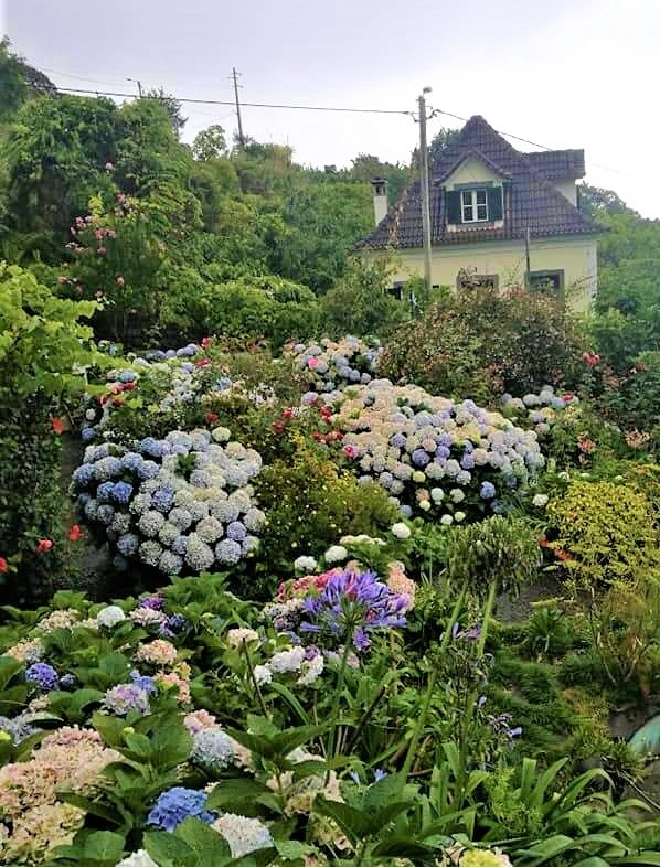 jardins2.jpg