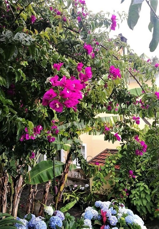 jardins3