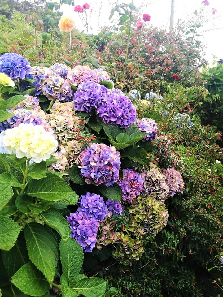 jardins5.jpg