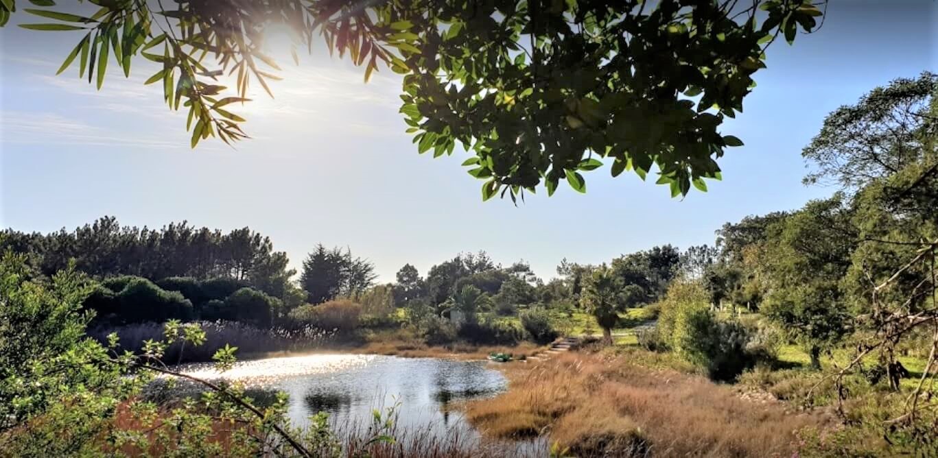 paisagem.jpg