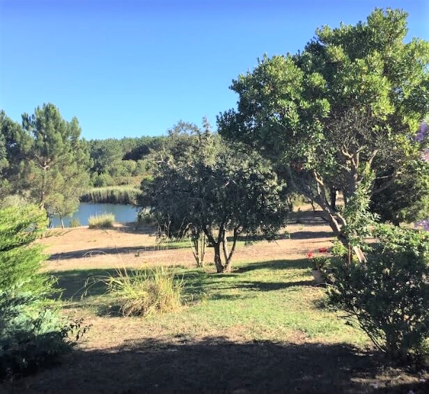paisagem2