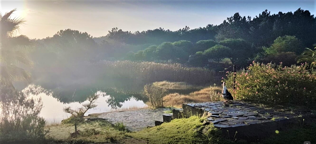 paisagem7.jpg