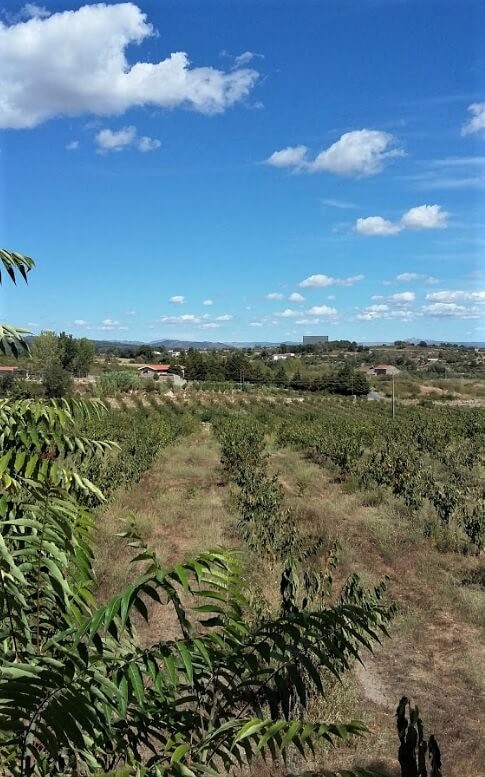 vistas2.jpg