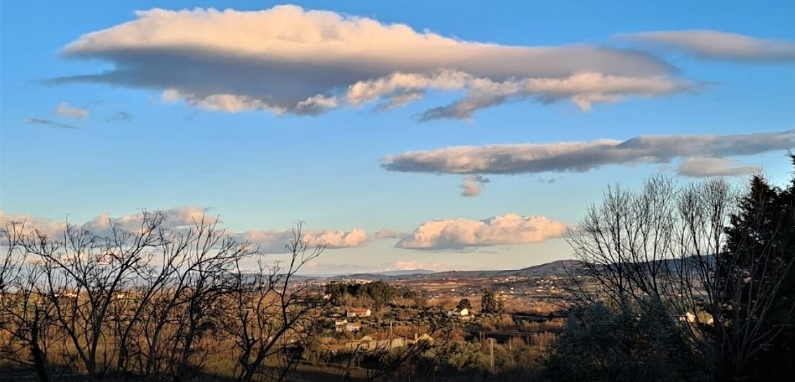 vistas3