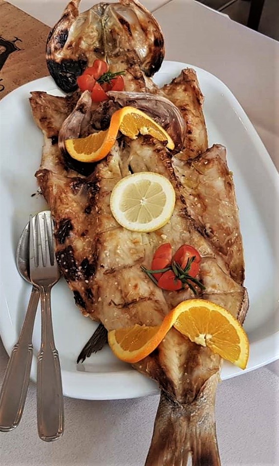 peixe4