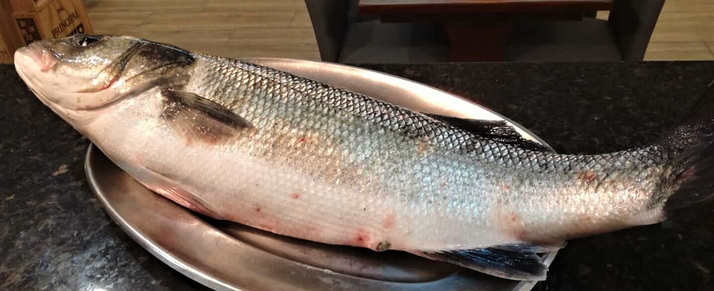 peixe3.jpg
